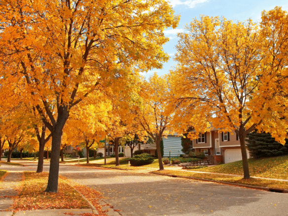Tree-lined residential street in Orange County NY neighborhood with vibrant autumn foliage and scenic Hudson Valley homes.